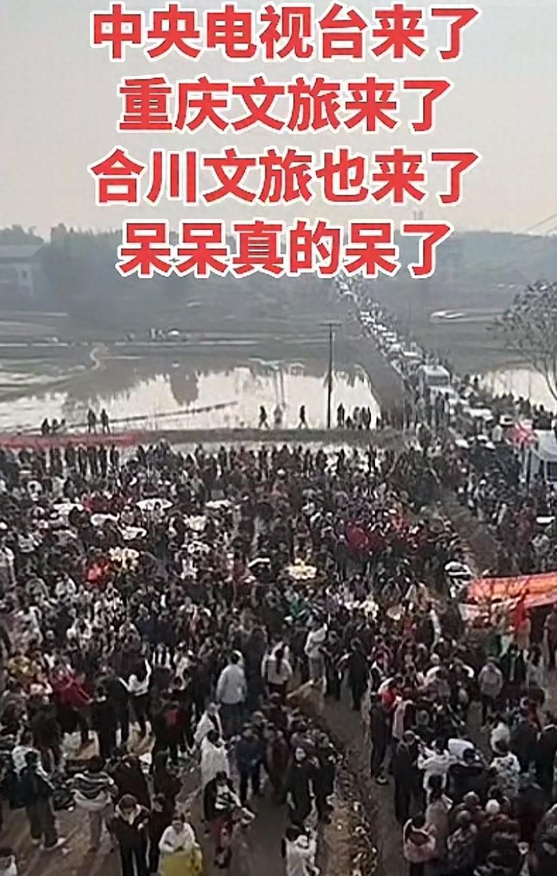 华体会官网下载-央视车被堵外面，人民日报下场，白衬衫守护，呆呆成为历史第一人